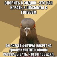 СПОРИТЬ С ЭНДЖИ - ЭТО КАК ИГРАТЬ В ШАХМАТЫ С ГОЛУБЕМ ОН СНЕСЕТ ФИГУРЫ, НАСРЕТ НА ДОСКУ И УЛЕТИТ К СВОИМ РАССКАЗЫВАТЬ, ЧТО ОН ПОБЕДИЛ.