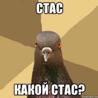 Стас Какой стас?