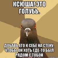 Ксюша! Это голубь. Добавь его к себе на стену, чтобы он хоть где-то был рядом с тобой