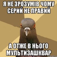 Я не зрозумів чому Серий не правий А отже в нього мультизашквар