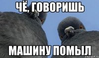 чё, говоришь машину помыл