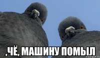  ,чё, машину помыл