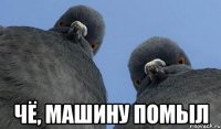  чё, машину помыл