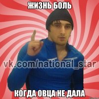 Жизнь боль Когда овца не дала