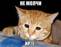 НЕ МОЛЧИ ИР ((*