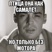 ПТИЦА ОНА КАК САМАЛЁТ НО ТОЛЬКО БЕЗ МОТОРА