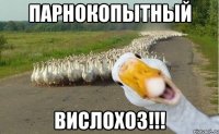 Парнокопытный вислохоз!!!