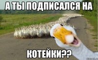 А ты подписался на КоТеЙкИ??