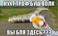 КУХТ,ТРОФ,БУШ ВОЛК ВЫ БЛЯ ЗДЕСЬ???