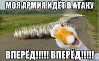 Моя армия идёт в атаку Вперёд!!!!! Вперёд!!!!!