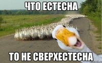 ЧТО ЕСТЕСНА ТО НЕ СВЕРХЕСТЕСНА