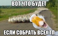 Вот что будет Если собрать всех ТП