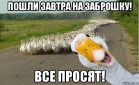 Пошли завтра на заброшку! Все просят!