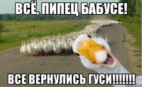 Всё, пипец бабусе! Все вернулись гуси!!!!!!!