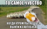 то самое чувство Когда утром пытаешься выйти из автобуса!