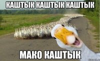 Каштык каштык каштык Мако каштык