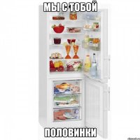 МЫ С ТОБОЙ ПОЛОВИНКИ