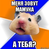 меня зовут Мамукa а тебя?