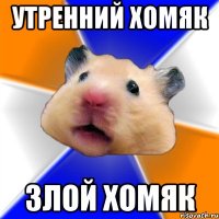 Утренний хомяк Злой хомяк