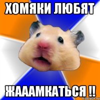 Хомяки любят Жааамкаться !!