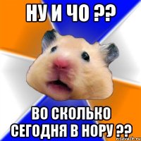 Ну и чо ?? Во сколько сегодня в нору ??