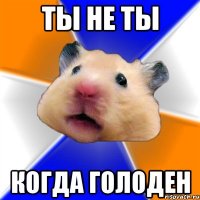 ты не ты когда голоден