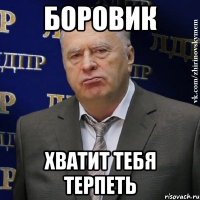 Боровик хватит тебя терпеть