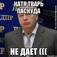 КАТЯ ТВАРЬ ПАСКУДА НЕ ДАЕТ (((