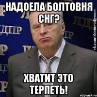 Надоела болтовня СНГ? Хватит это терпеть!