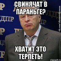 Свинячат в Параньге? Хватит это терпеть!