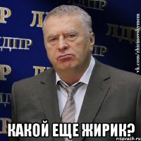  какой еще жирик?