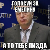 Голосуй за Емелину А то тебе ПИЗДА