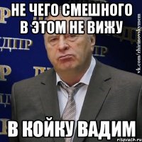 не чего смешного в этом не вижу в койку вадим