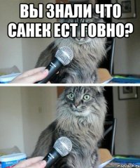 вы знали что Санек ест говно? 