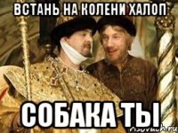 встань на колени халоп собака ты