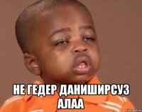  не гедер даниширсуз алаа