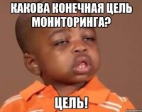 какова конечная цель мониторинга? цель!