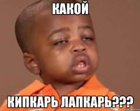 какой кипкарь лапкарь???