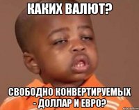 каких валют? свободно конвертируемых - доллар и евро?