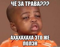 чё за трава??? ахахахаха это же полэн