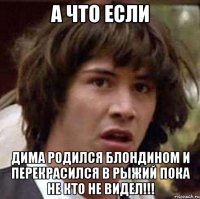 а что если дима родился блондином и перекрасился в рыжий пока не кто не видел!!!