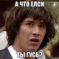 А ЧТО ЕЛСИ ТЫ ГУСЬ?