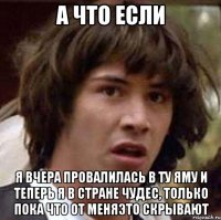 А ЧТО ЕСЛИ Я ВЧЕРА ПРОВАЛИЛАСЬ В ТУ ЯМУ И ТЕПЕРЬ Я В СТРАНЕ ЧУДЕС, ТОЛЬКО ПОКА ЧТО ОТ МЕНЯЭТО СКРЫВАЮТ