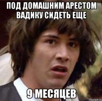 Под домашним арестом Вадику сидеть еще 9 месяцев