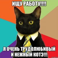 ИЩУ РАБОТУ!!!! я очень трудолюбивый и нежный котэ!!!