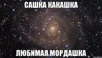 сашка какашка любимая мордашка