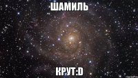 Шамиль крут:D