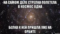 на самом деле Стрелка полетела в космос одна Белка к ней пришла уже на орбите