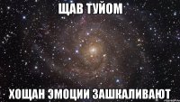 ЩАВ ТУЙОМ ХОЩАН ЭМОЦИИ ЗАШКАЛИВАЮТ