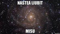 nastea liubit misu